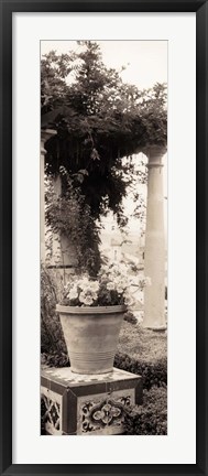 Framed Jardin Botanico Print