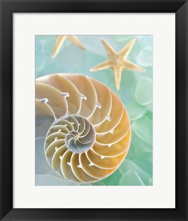 Framed Seaglass 2 Print