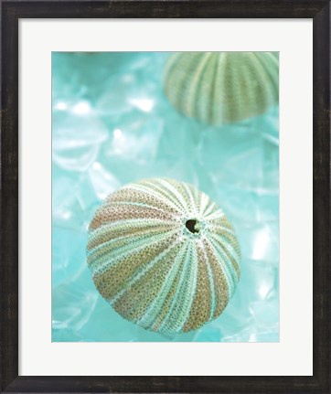 Framed Seaglass 4 Print