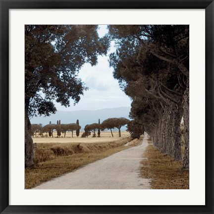 Framed Tuscan Fatorria Strada No. 2 Print