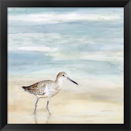 Framed Speckled Willet I Print