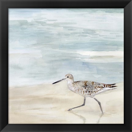 Framed Speckled Willet II Print