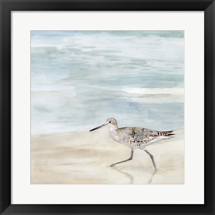 Framed Speckled Willet II Print