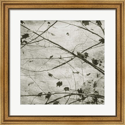 Framed Laced Sky IV Print