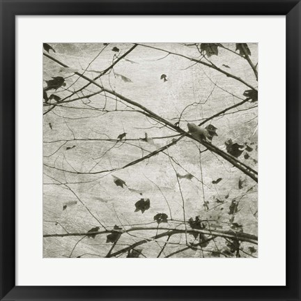 Framed Laced Sky IV Print