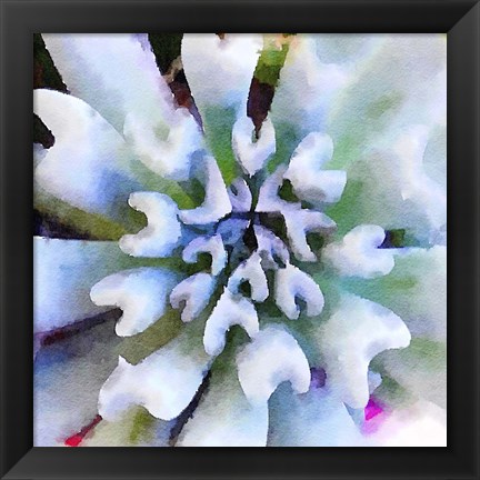 Framed Succulente I Print