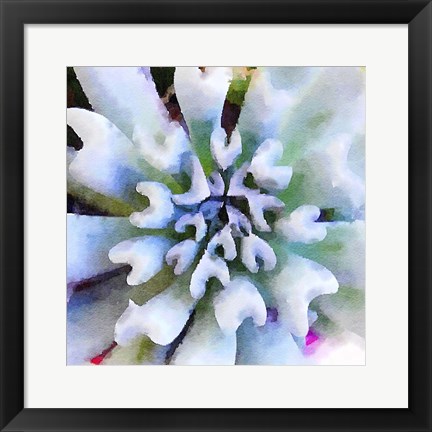 Framed Succulente I Print