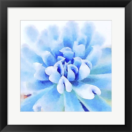 Framed Succulente III Print