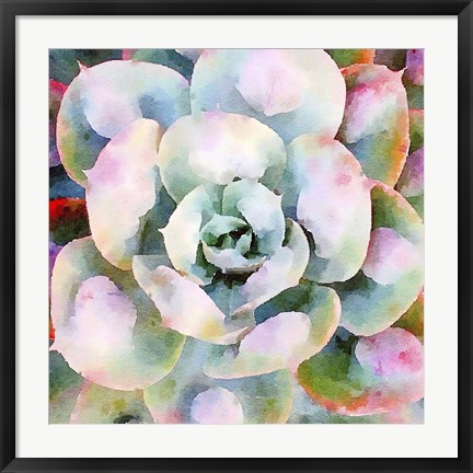 Framed Succulente V Print