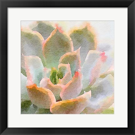 Framed Succulente XI Print