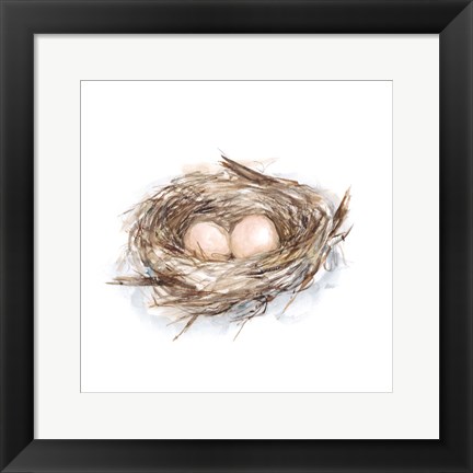 Framed Bird Life II Print