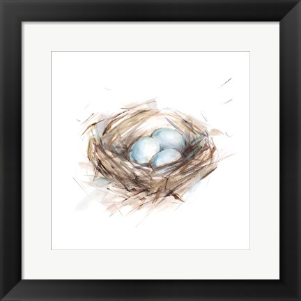 Framed Bird Life III Print