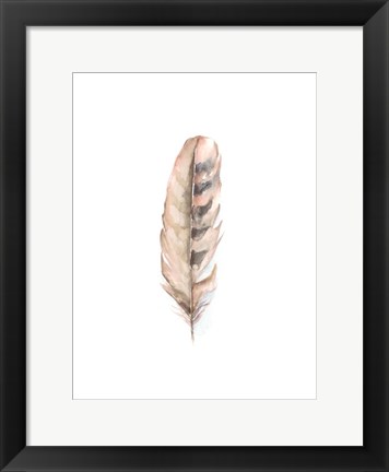 Framed Bird Life V Print