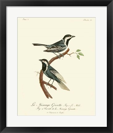 Framed Vintage French Birds III Print