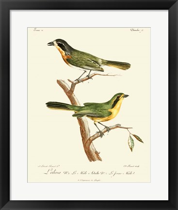 Framed Vintage French Birds VI Print