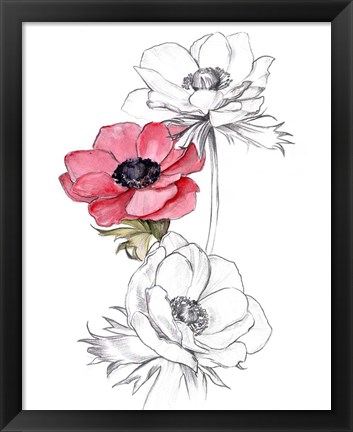 Framed Anemone by Number II Print