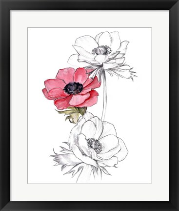 Framed Anemone by Number II Print