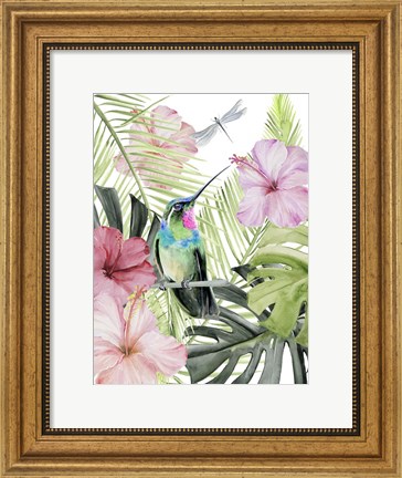 Framed Hibiscus &amp; Hummingbird II Print