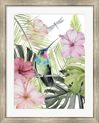 Framed Hibiscus &amp; Hummingbird II Print