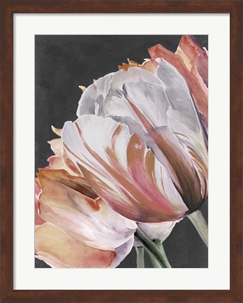 Framed Pastel Parrot Tulips III Print