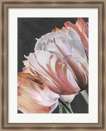 Framed Pastel Parrot Tulips III Print