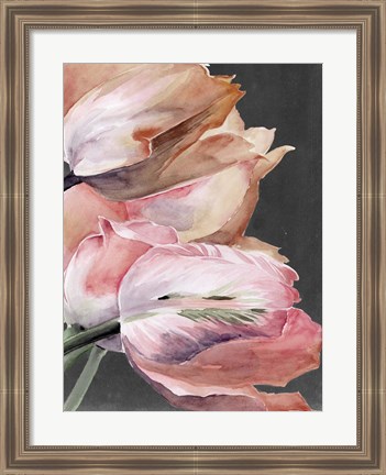 Framed Pastel Parrot Tulips IV Print