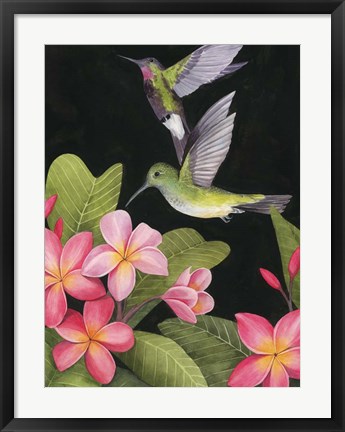 Framed In the Plumeria II Print