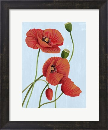 Framed Poppy Topple I Print