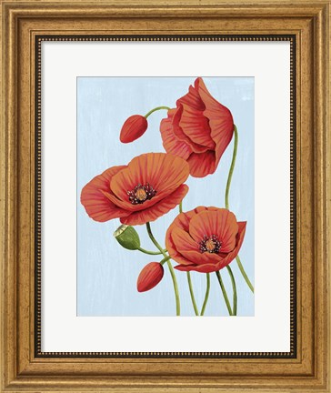 Framed Poppy Topple II Print