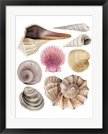 Framed Sea Souvenirs I Print