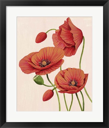 Framed Soft Coral Poppies II Print