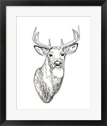 Framed Whitetail Wireframe I Print