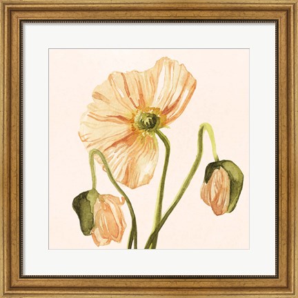 Framed Highpoint Poppies I Print