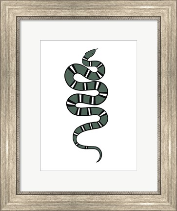 Framed Epidaurus Snake V Print