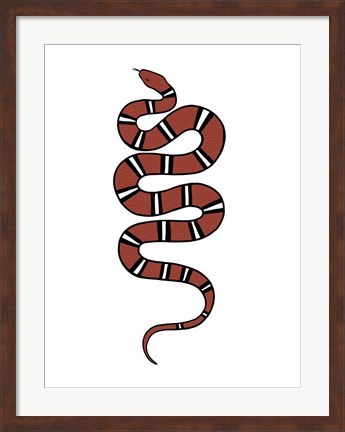 Framed Epidaurus Snake VI Print