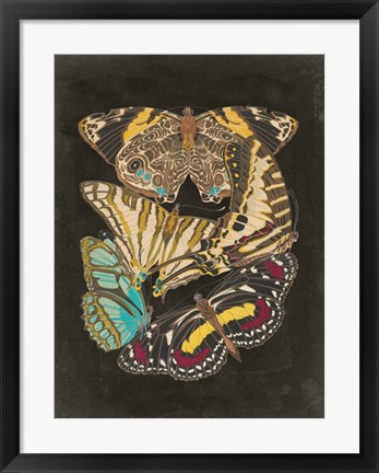 Framed Winged Patterns I Print