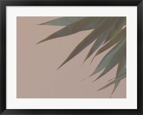 Framed Bamboo Pink III Print