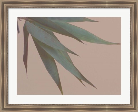 Framed Bamboo Pink IV Print