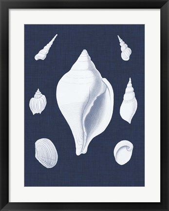 Framed Coquillages Blancs II Print