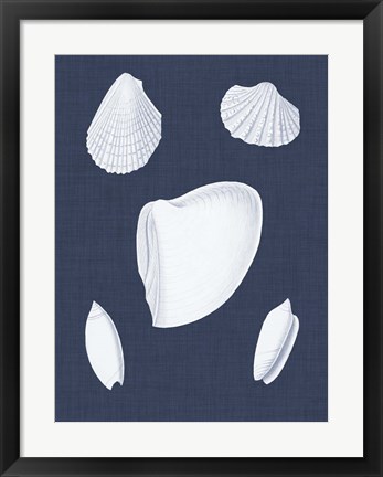 Framed Coquillages Blancs VI Print