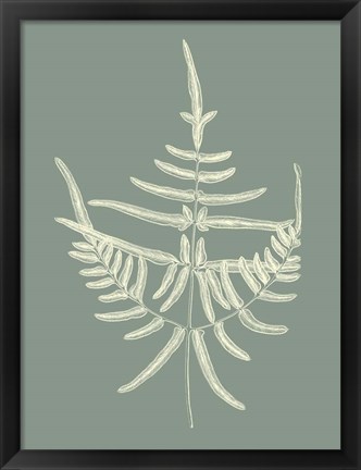 Framed Ferns on Sage I Print