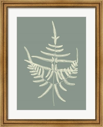 Framed Ferns on Sage I Print