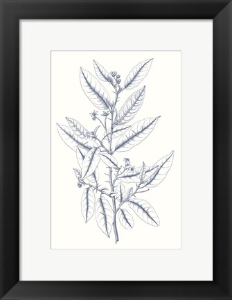 Framed Indigo Botany Study V Print