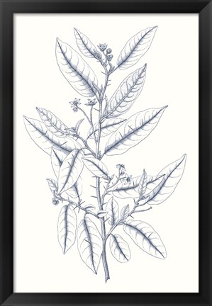 Framed Indigo Botany Study V Print