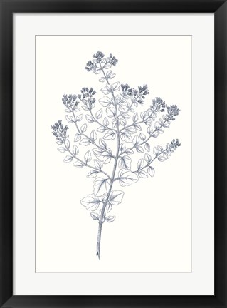 Framed Indigo Botany Study VI Print