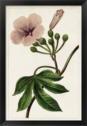 Framed Mauve Botanicals I Print