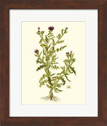 Framed Olive Greenery II Print