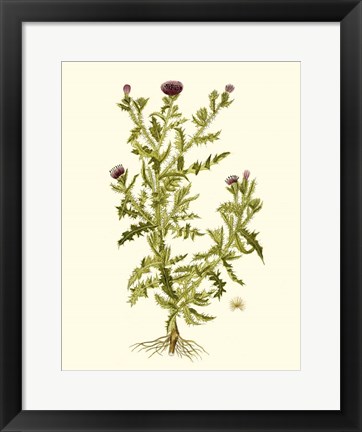 Framed Olive Greenery II Print