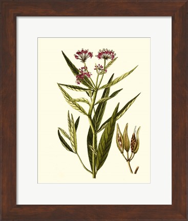 Framed Olive Greenery VIII Print