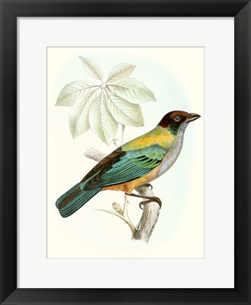 Framed On Perch III Print